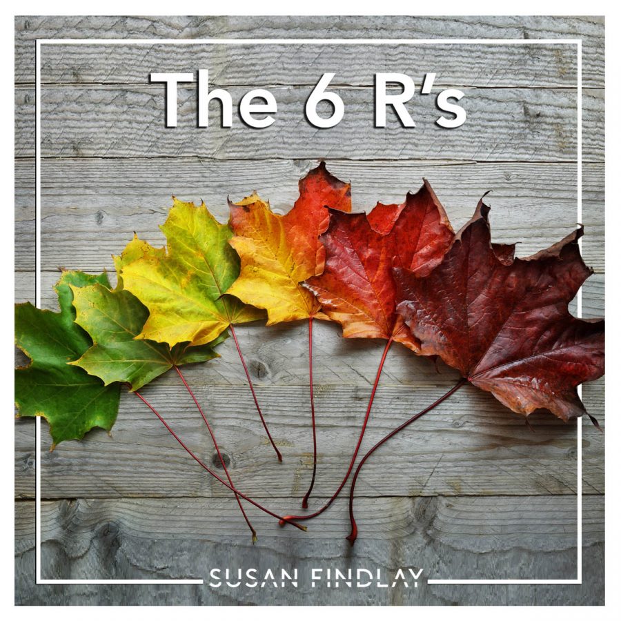 Autumn Maple leaf transition and variation concept for fall and change of season